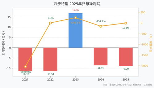 西寧特鋼2025年業績亮眼 營收59.23億元，凈利潤9.00億元，產量增長與供應鏈管控雙輪驅動
